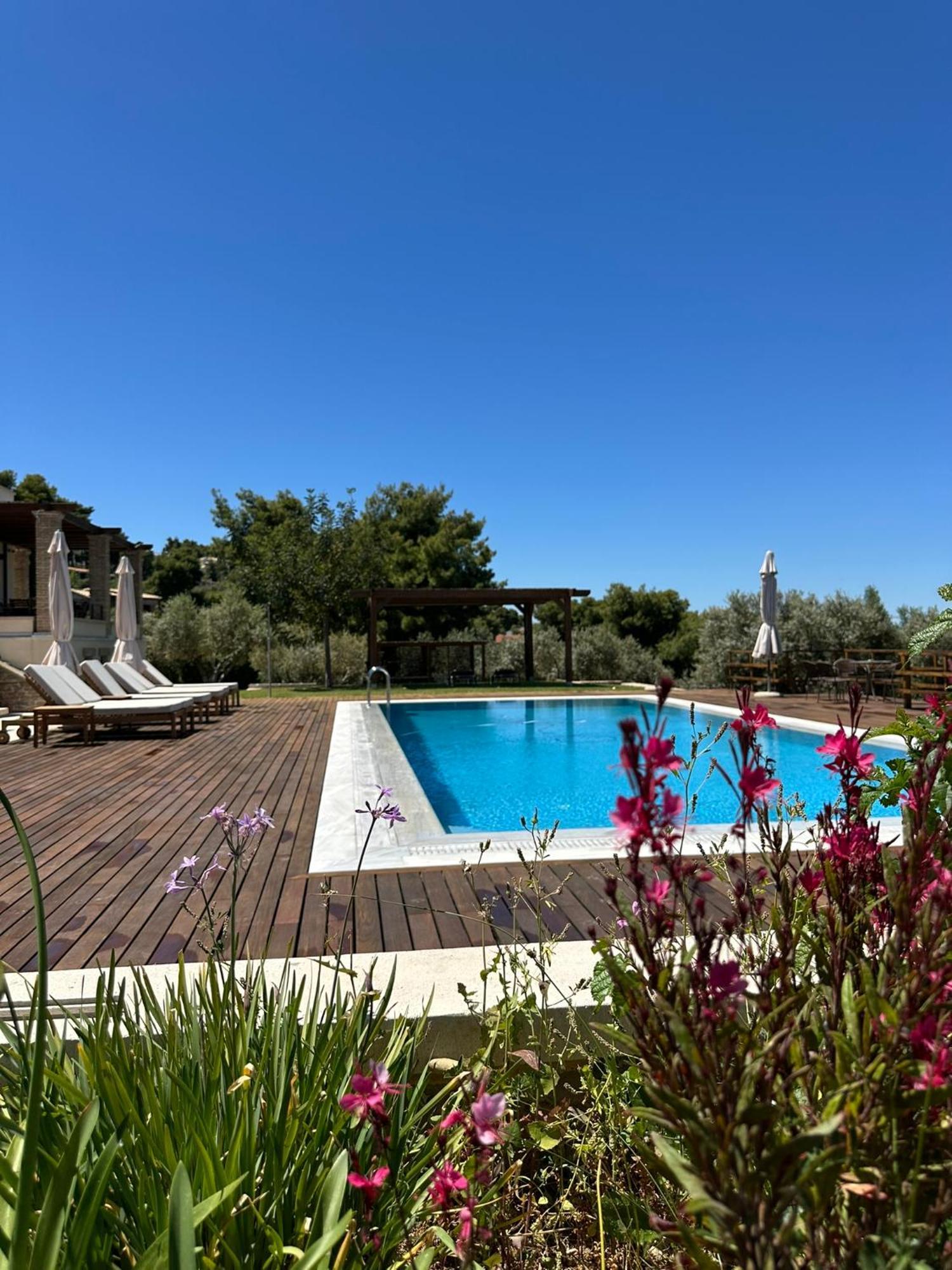 Villa Kalamos / Sea View And Pool Nearby Athens Kültér fotó